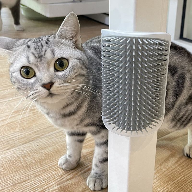 Cat Self Grooming Massage Toy Brush